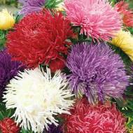 Айстра Дракон суміш за 0,3 г