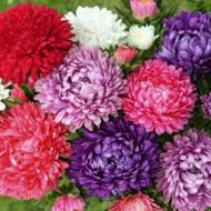 Айстра Старий замок суміш за 0,3 г