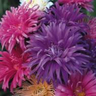 Айстра Страусове перо за 0,3 г