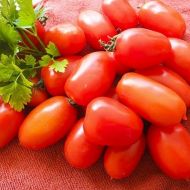 Томат Гибрид Тарасенко-7 за 0,15 г