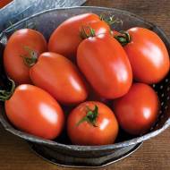 Томат Инкас F1
