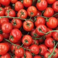 Томат Крістмас грейпс за 0,1 г