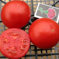 Томат Мимоза за 0,1 г