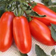 Томат Мить за 0,2 г