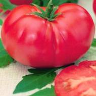 Томат Мона Лиза за 0,1 г