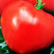 Томат Вождь краснокожих за 0,1 г