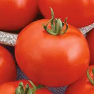 Томат Приполярный за 0,2 г