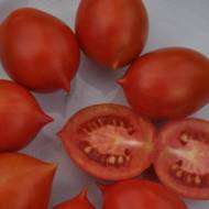 Томат Смілянський Рудаса за 30  нас.