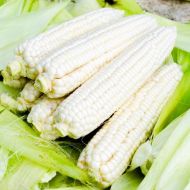 Кукурудза цукрова Медунка F1 за 20 г