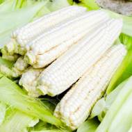 Кукурудза цукрова Медунка F1 за 20 г