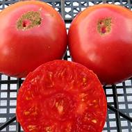 Томат Василина за 0,1 г