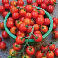 Томат Вишневый коктейль за 0,15 г