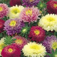 Астра смесь Супреме за 0,3 г