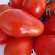 Томат Кімерієць за 0,1 г