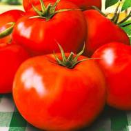Томат Магнат за 0,1 г