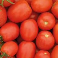 Томат Новичок красный за 0,2 г