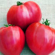 Томат Гопак за 0,15 г