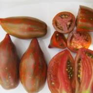 Томат Зуб кабана за 0,1 г