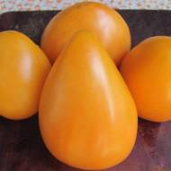 Томат Серце Ашхабада за 0,1 г