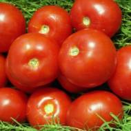 Томат Волгоградец за 0,3 г