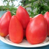 Томат Супермодель за 0,1 г