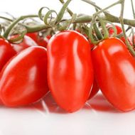 Томат Французький гроновий за 0,1 г