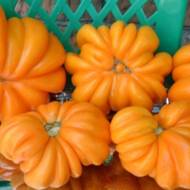 Томат Американський ребристий жовтий за 0,1 г