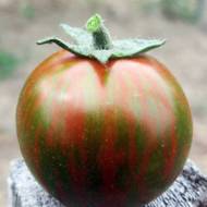 Томат Зебра черная за 0,1 г