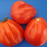 Томат Чалма за 0,1 г