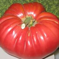 Томат Стопудовый за 0,1 г