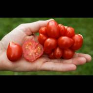 Томат Часниковий за 0,1 г