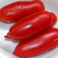 Томат Алые свечки за 0,1 г