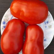 Томат Гигантские итальянские пасты за 0,1 г