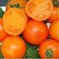 Томат Мандаринка за 25 сем.