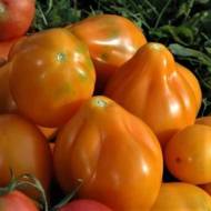Томат Трюфель оранжевый за 0,1 г