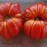 Томат Рим за 0,1 г