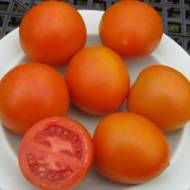 Томат Скала за 0,1 г