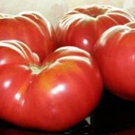 Томат Бычий лоб за 0,1 г
