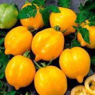 Томат Чудо света 0,1 г