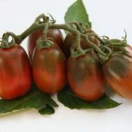 Томат Шоколадный зайчик за 0,1 г