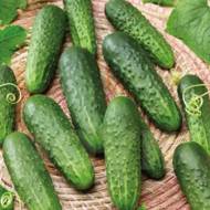Огурец Ласточка F1 за 0,2 г