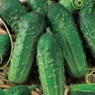 Огірок Монастирський за 1 г