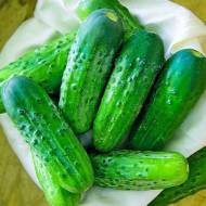 Огірок Голубчик F1 за 0,25 г