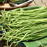 Квасоля Вігна Шарлотта за 1,5 г