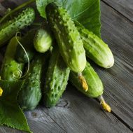 Огірок Радко F1 за 0,5 г