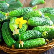 Огірок Заначка за 20 нас.