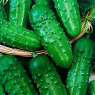 Огірок Робінзон за 1 г