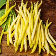 Квасоля спаржева Золота Зоря за 10 г