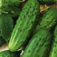 Огірок Серпантин за 1 г