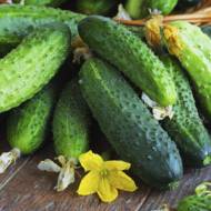 Огірок Купеческий F1 за 0,25 г
